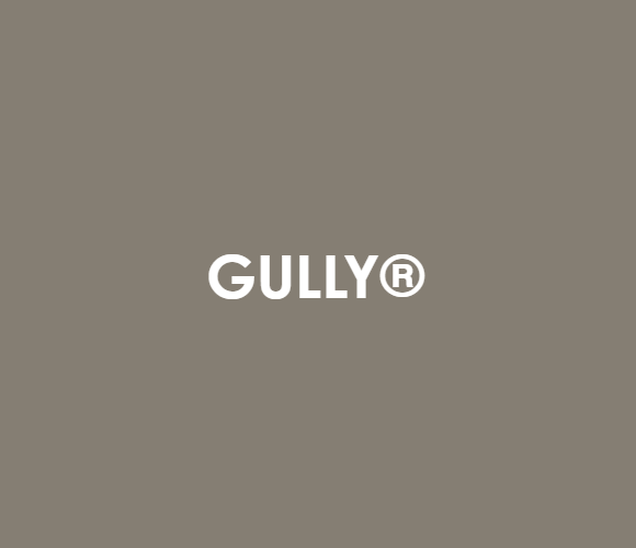 Gully®